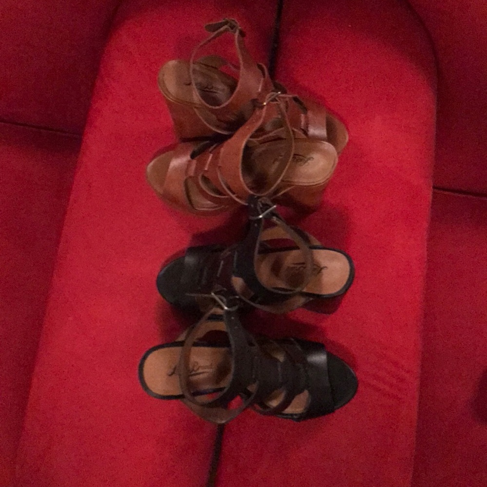 Lucky Brand Bundle